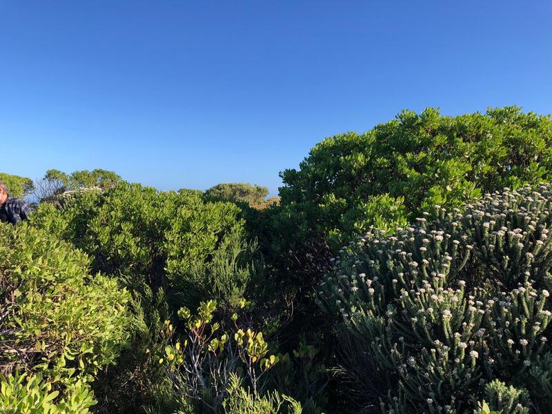 0 Bedroom Property for Sale in Romansbaai Estate Western Cape
